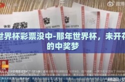 世界杯彩票没中-那年世界杯，未开花的中奖梦