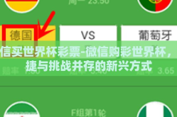 微信买世界杯彩票-微信购彩世界杯，便捷与挑战并存的新兴方式