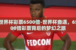 世界杯彩票6500倍-世界杯奇遇，6500倍彩票背后的梦幻之旅
