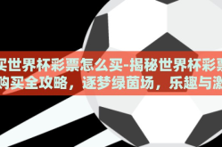 买世界杯彩票怎么买-揭秘世界杯彩票购买全攻略，逐梦绿茵场，乐趣与激情并存