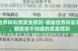 世界杯彩票奖金规则-揭秘世界杯彩票，那些你不知道的奖金规则