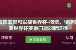 微信哪里可以买世界杯-微信，便捷购买世界杯赛事门票的新途径