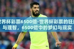 世界杯彩票6500倍-世界杯彩票的狂热与理智，6500倍中的梦幻与现实