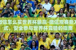 微信怎么买世界杯输赢-微信观赛新方式，安全参与世界杯竞猜的指南