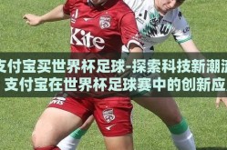 支付宝买世界杯足球-探索科技新潮流，支付宝在世界杯足球赛中的创新应用