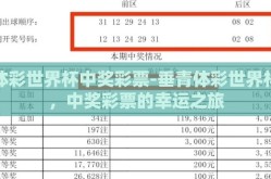 体彩世界杯中奖彩票-垂青体彩世界杯，中奖彩票的幸运之旅