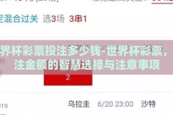 世界杯彩票投注多少钱-世界杯彩票，投注金额的智慧选择与注意事项
