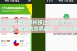支付宝微信世界杯投注-世界杯热潮与支付宝、微信的跨界游戏，投注新风尚