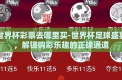 世界杯彩票去哪里买-世界杯足球盛宴，解锁购彩乐趣的正确通道