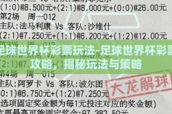 足球世界杯彩票玩法-足球世界杯彩票攻略，揭秘玩法与策略
