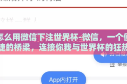 怎么用微信下注世界杯-微信，一个便捷的桥梁，连接你我与世界杯的狂热对决
