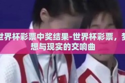 世界杯彩票中奖结果-世界杯彩票，梦想与现实的交响曲