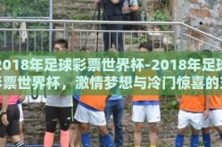 2018年足球彩票世界杯-2018年足球彩票世界杯，激情梦想与冷门惊喜的交织