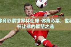 体育彩票世界杯让球-体育彩票，世界杯让球的智慧之选