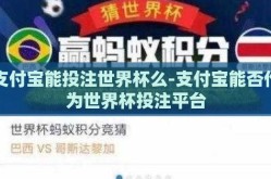 支付宝能投注世界杯么-支付宝能否作为世界杯投注平台