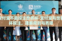 支付宝不能投注世界杯-支付宝与世界杯投注，理解规则与界限
