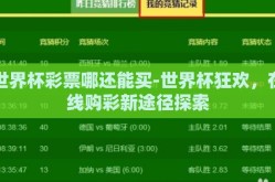 世界杯彩票哪还能买-世界杯狂欢，在线购彩新途径探索