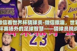 微信看世界杯猜球员-微信撒趣，世界杯赛场外的足球智慧——猜球员挑战的乐趣与解析