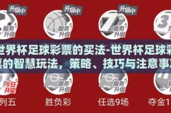 世界杯足球彩票的买法-世界杯足球彩票的智慧玩法，策略、技巧与注意事项