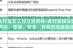支付宝怎么投注世界杯-支付宝投注世界杯，便捷、安全、智能的观赛新体验