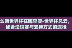 怎么赌世界杯在哪里买-世界杯风云，探秘合法观赛与支持方式的途径