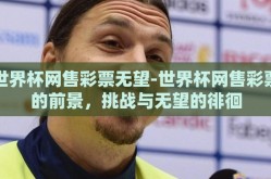 世界杯网售彩票无望-世界杯网售彩票的前景，挑战与无望的徘徊
