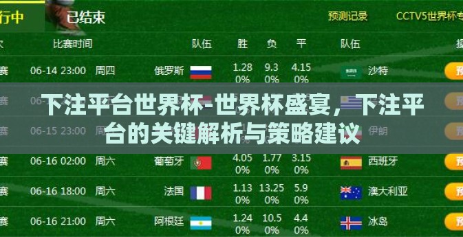 下注平台世界杯-世界杯盛宴，下注平台的关键解析与策略建议