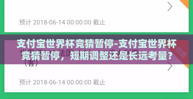 支付宝世界杯竞猜暂停-支付宝世界杯竞猜暂停，短期调整还是长远考量？