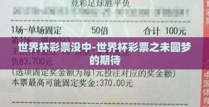 世界杯彩票没中-世界杯彩票之未圆梦的期待