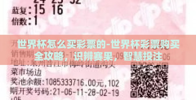 世界杯怎么买彩票的-世界杯彩票购买全攻略，识辨赛果，智慧投注