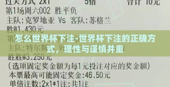 怎么世界杯下注-世界杯下注的正确方式，理性与谨慎并重
