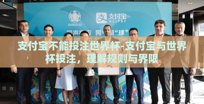 支付宝不能投注世界杯-支付宝与世界杯投注，理解规则与界限