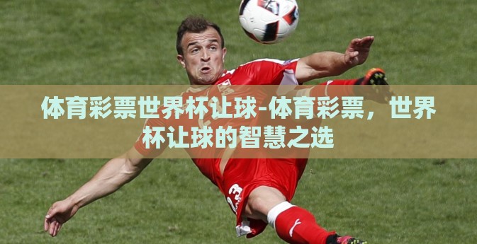 体育彩票世界杯让球-体育彩票,世界杯让球的智慧之选 体育彩票世界杯让球-体育彩票,世界杯让球的智慧之选