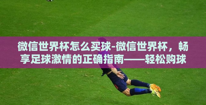 微信世界杯怎么买球-微信世界杯，畅享足球激情的正确指南——轻松购球攻略