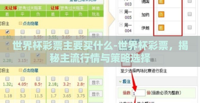 世界杯彩票主要买什么-世界杯彩票，揭秘主流行情与策略选择