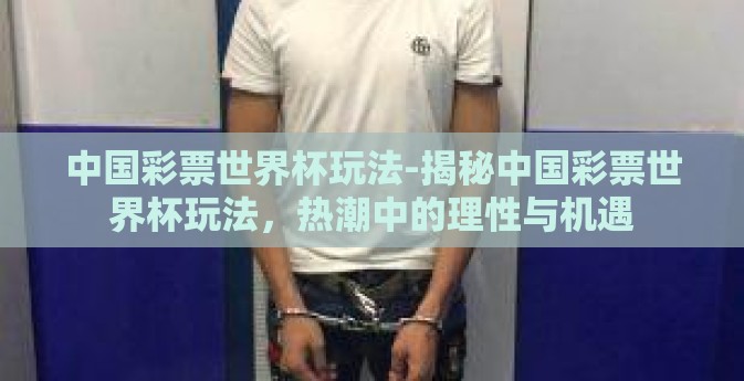 中国彩票世界杯玩法-揭秘中国彩票世界杯玩法，热潮中的理性与机遇
