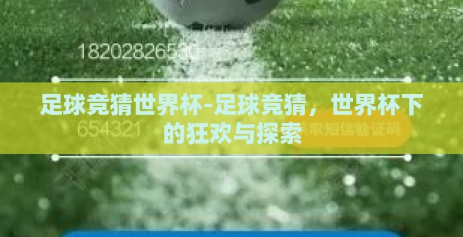 足球竞猜世界杯-足球竞猜，世界杯下的狂欢与探索