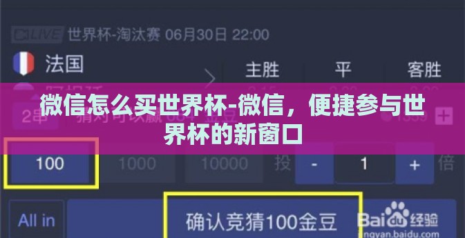 微信怎么买世界杯-微信，便捷参与世界杯的新窗口