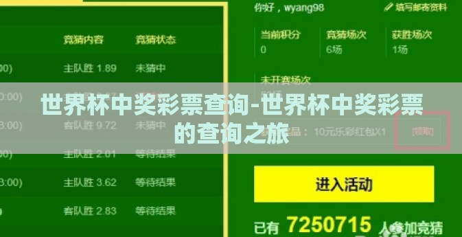 世界杯中奖彩票查询-世界杯中奖彩票的查询之旅