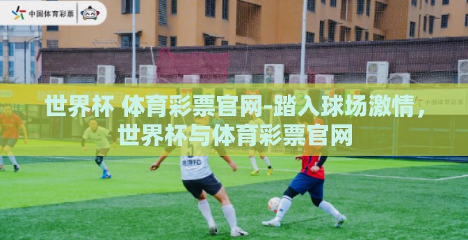 世界杯 体育彩票官网-踏入球场激情，世界杯与体育彩票官网