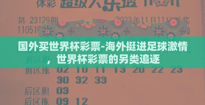 国外买世界杯彩票-海外挺进足球激情，世界杯彩票的另类追逐