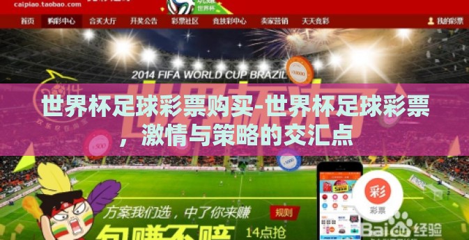 世界杯足球彩票购买-世界杯足球彩票，激情与策略的交汇点