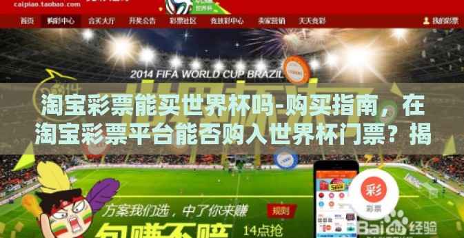 淘宝彩票能买世界杯吗-购买指南，在淘宝彩票平台能否购入世界杯门票？揭秘细节