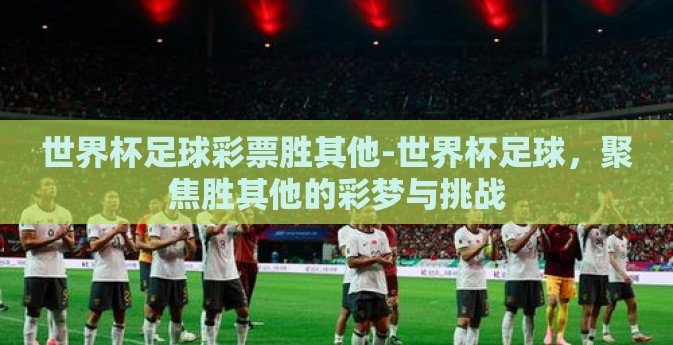 世界杯足球彩票胜其他-世界杯足球，聚焦胜其他的彩梦与挑战