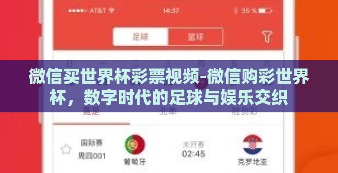 微信买世界杯彩票视频-微信购彩世界杯，数字时代的足球与娱乐交织