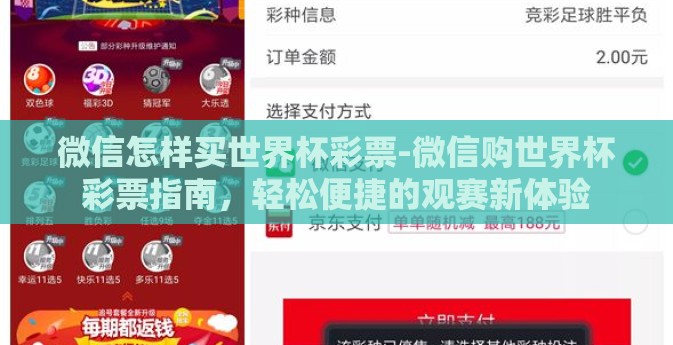 微信怎样买世界杯彩票-微信购世界杯彩票指南，轻松便捷的观赛新体验
