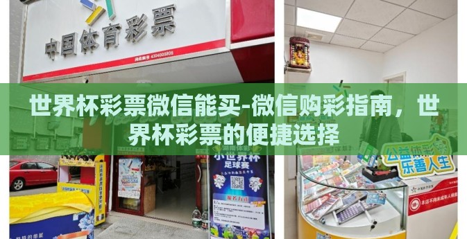 世界杯彩票微信能买-微信购彩指南,世界杯彩票的便捷选择 世界杯彩票微信能买-微信购彩指南,世界杯彩票的便捷选择