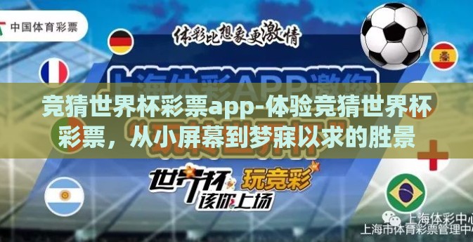 世界杯卖彩票赚钱吗-世界杯期间彩票销售的盈利潜力与风险评估