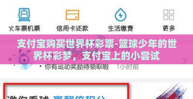 支付宝购买世界杯彩票-篮球少年的世界杯彩梦，支付宝上的小尝试