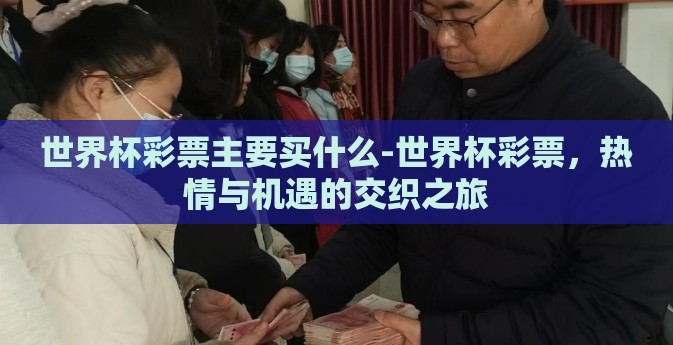 世界杯彩票主要买什么-世界杯彩票，热情与机遇的交织之旅